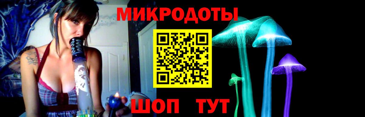 Канаш  Псилоцибиновые грибы мицелий  Вход с VPN 